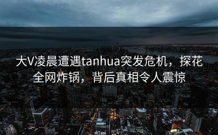 大V凌晨遭遇tanhua突发危机，探花全网炸锅，背后真相令人震惊
