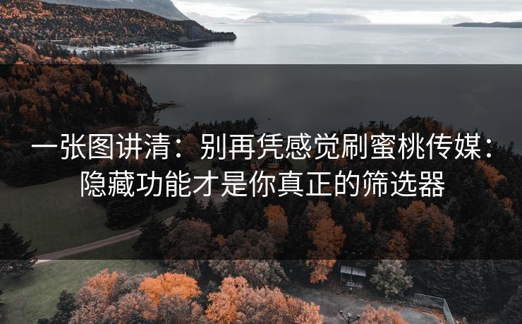 一张图讲清：别再凭感觉刷蜜桃传媒：隐藏功能才是你真正的筛选器